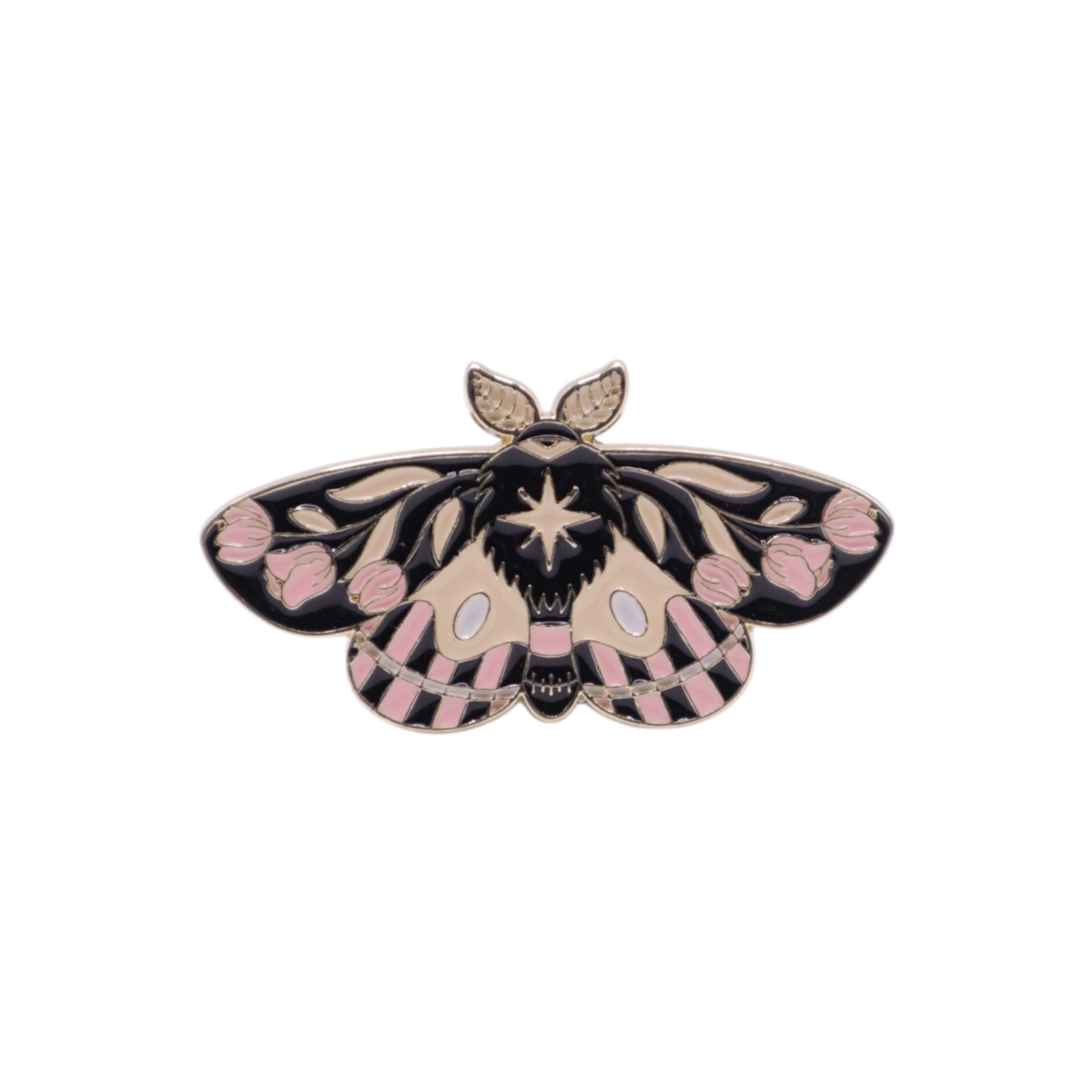 Black and Light Pink Moth